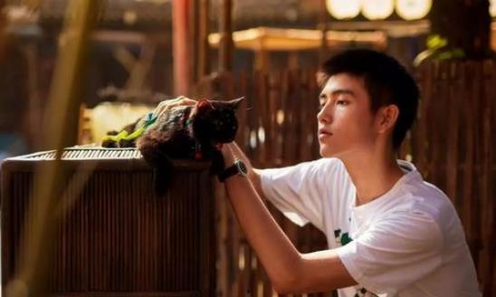 陈飞宇爆料后续事件视频,揭秘事件背后真相与影响 第2张 陈飞宇爆料后续事件视频,揭秘事件背后真相与影响 第2张