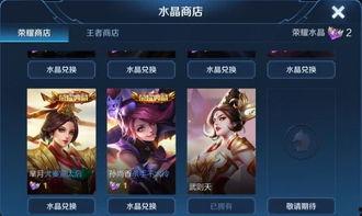 大唐皮肤最新爆料视频,揭秘古代风情与时尚融合的视觉盛宴  第3张